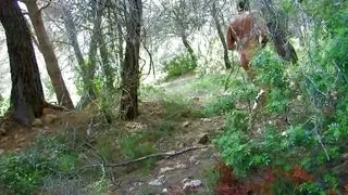 The tattooed brunette is very skillful with riding large