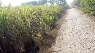 Pakistani village former big cock sex with miss teacher girl