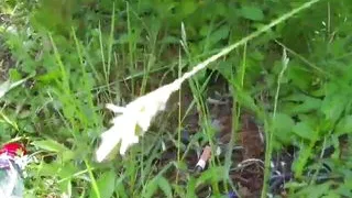 Sex and transgression for threesome lovers #8 - 100 min