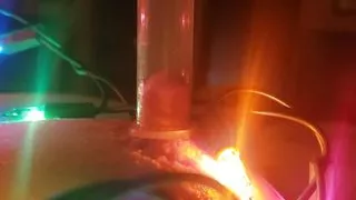 Pumping nipples with x mas lights