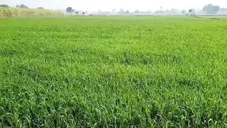 Employee fucked hard MMS hardcore