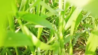 Former fucked hard doctor girl