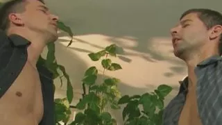 Deep anal sex in a wild threesome