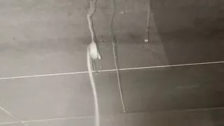 Amateur Sex, Cum, Cumshot, European Sex, Gay Sex, Homemade porn