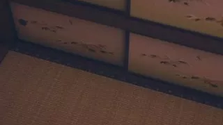 Hentai Uncensored 3D - Ran Fucked