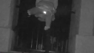 lighting buttplug with infrared cam miniskirt ant gartners outdoor