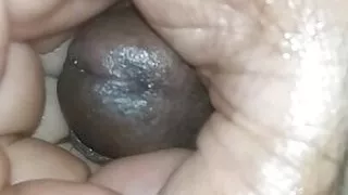 Amateursex, Analsex, Asiatische Weiber, Dicke Girls, Hentaisex, Masturbation