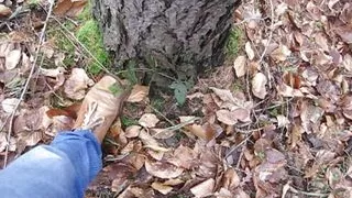 Use, Piss and cum in Daddys Shoes