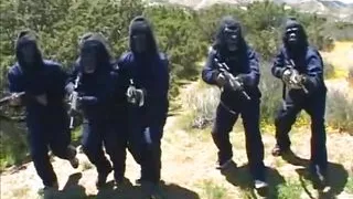 A big cock for a nasty blonde slut