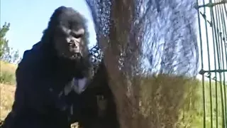 Scopate sul Pianeta delle Scimmie - Episode 2