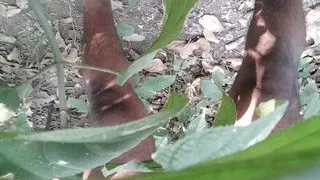 xhamster sex video xhamster sex video