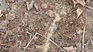 Pesing man out side