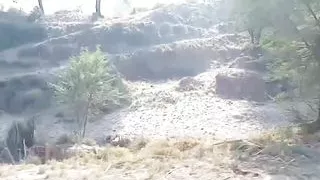 Truck driver sex with Pakistani randi girl on road fucked MMS