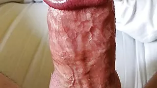 Big juicy fat cock with huge mushroom head dripping precum and cockring masterbation