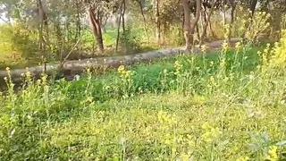 Randi girl on road looking customer and picked-up to house and fucked hard MMS