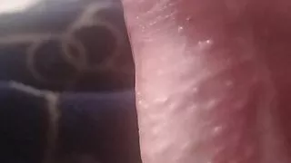 hard sex with stranger and they see us