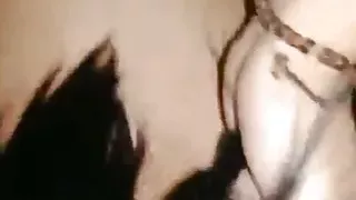 Sex indo istri mendesah orgasme