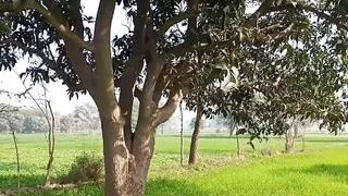 Kleine Muschi und großer Schwanz hart gefickt