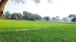 Hardcore village sex couple MMS