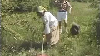 Amateurpaar fickt hart auf der Wiese!