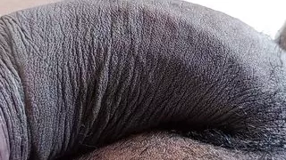 kiss kiss this is good for you