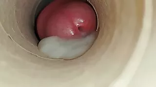 Amateursex, Arabischer Sex, Arsch, Bar, Großer Schwanz, Blasen