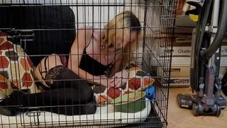 Crystal in der Kiste wuff!