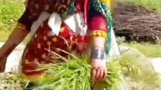 Gaon k sarpanch ne mujhe zabardasti kheton ma choda aur Meri gand mari