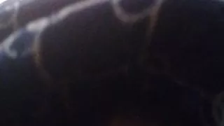 Sex und viel Milch mit Spielzeug