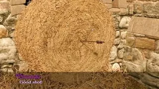 Homelander-Blow job turns into cumshot