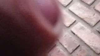 sex and lots of milk with toys