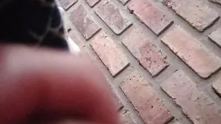 sex and lots of milk with toys