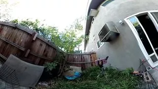 Faphouse Vr Lizzy Yum Mega Vr Video #7