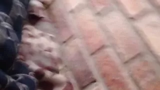 sex and lots of milk with toys