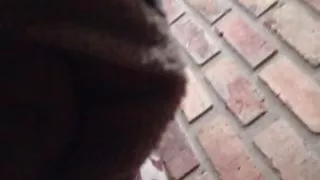 Sex und viel Milch mit Spielzeug