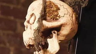 Teen And Milfs Turn Halloween Party Into Orgy And Ride Dicks For Orgasm