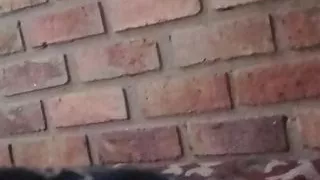 first time anal sex lots of cum and toys