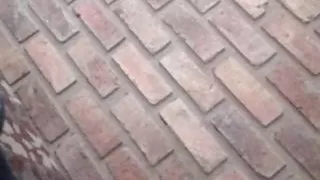 Amateursex, Analsex, Bar, Großer Schwanz, Sperma, Abspritzen