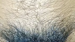 Wife ki chaddi nikal kar balo vali chut me bda mota land daal diya