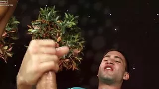 I have been studying you he says, as he squeezes her tits