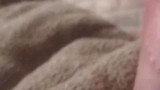 first time anal sex lots of cum and toys