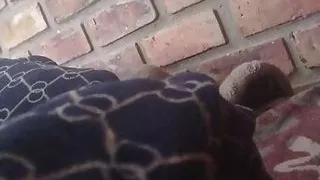 first time anal sex lots of cum and toys