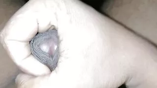 Indian bad boy musterbation in solo play big dick with cum lord in night