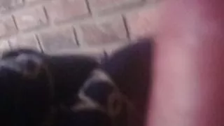 anal sex and lots of milk sex and toys