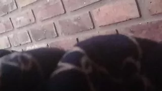 anal sex and lots of milk sex and toys