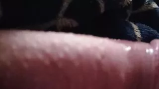 anal sex and lots of milk sex and toys