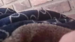 anal sex and lots of milk sex and toys