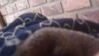 anal sex and lots of milk sex and toys