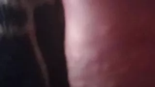 Schöner Arsch Analsex und viel Sperma Hardcore