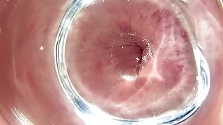 Anal inside look through the glass plug
